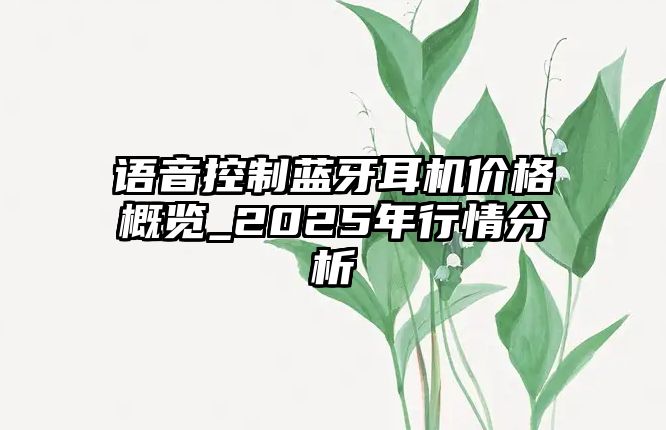語音控制藍(lán)牙耳機(jī)價(jià)格概覽_2025年行情分析