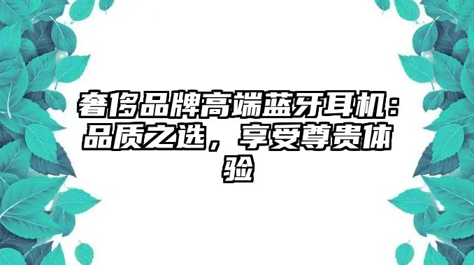 奢侈品牌高端藍(lán)牙耳機(jī)：品質(zhì)之選，享受尊貴體驗(yàn)