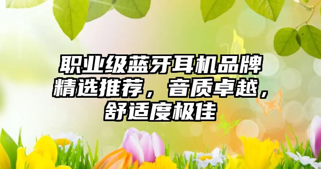 職業(yè)級藍(lán)牙耳機(jī)品牌精選推薦，音質(zhì)卓越，舒適度極佳