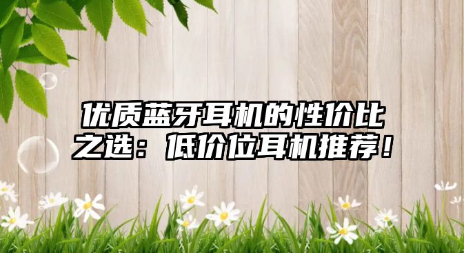 優(yōu)質(zhì)藍(lán)牙耳機(jī)的性?xún)r(jià)比之選：低價(jià)位耳機(jī)推薦！