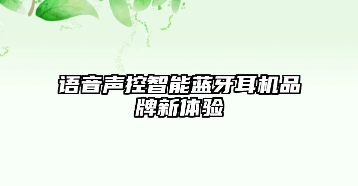 語音聲控智能藍牙耳機品牌新體驗