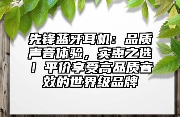 先鋒藍牙耳機：品質(zhì)聲音體驗，實惠之選！平價享受高品質(zhì)音效的世界級品牌