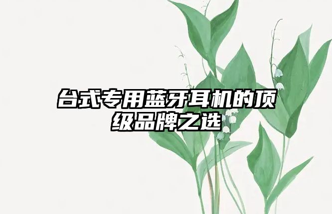 臺式專用藍牙耳機的頂級品牌之選