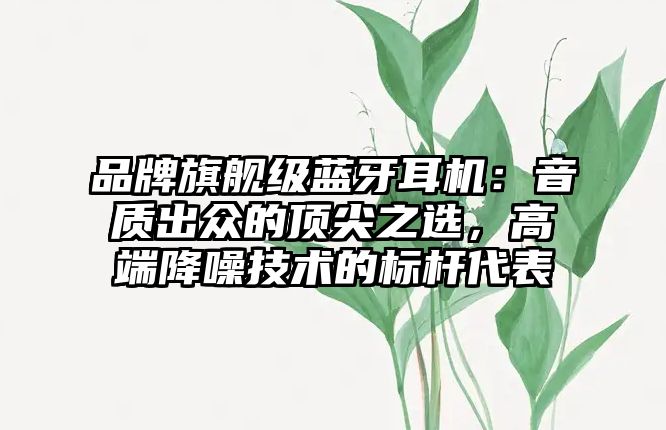 品牌旗艦級藍(lán)牙耳機(jī)：音質(zhì)出眾的頂尖之選，高端降噪技術(shù)的標(biāo)桿代表