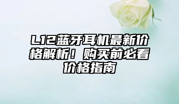 L12藍(lán)牙耳機(jī)最新價(jià)格解析！購(gòu)買(mǎi)前必看價(jià)格指南