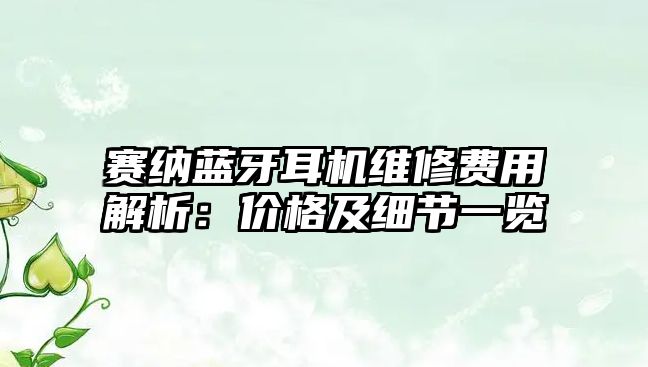 賽納藍牙耳機維修費用解析：價格及細節(jié)一覽