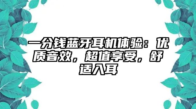 一分錢藍牙耳機體驗：優(yōu)質(zhì)音效，超值享受，舒適入耳
