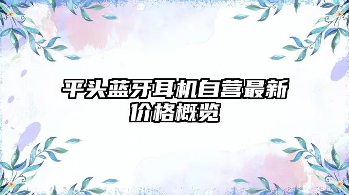 平頭藍(lán)牙耳機(jī)自營最新價(jià)格概覽
