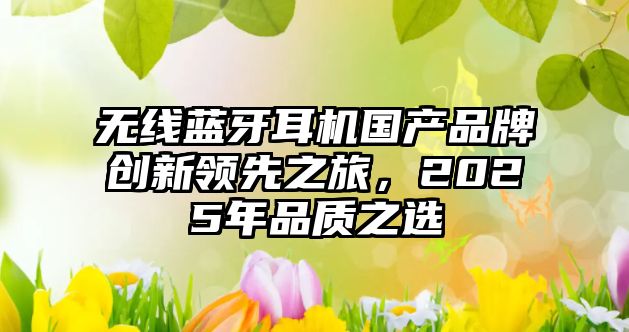 無線藍(lán)牙耳機(jī)國產(chǎn)品牌創(chuàng)新領(lǐng)先之旅，2025年品質(zhì)之選