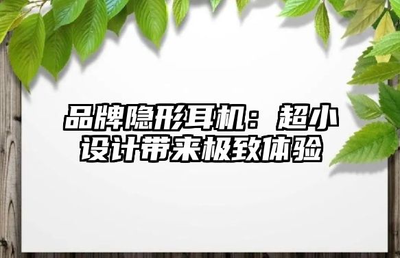 品牌隱形耳機(jī)：超小設(shè)計(jì)帶來極致體驗(yàn)