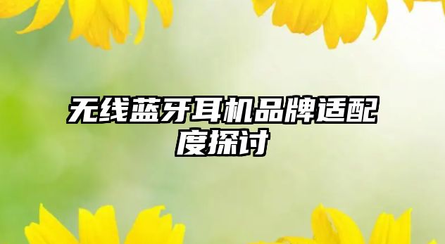 無線藍牙耳機品牌適配度探討