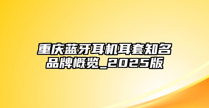 重慶藍(lán)牙耳機(jī)耳套知名品牌概覽_2025版