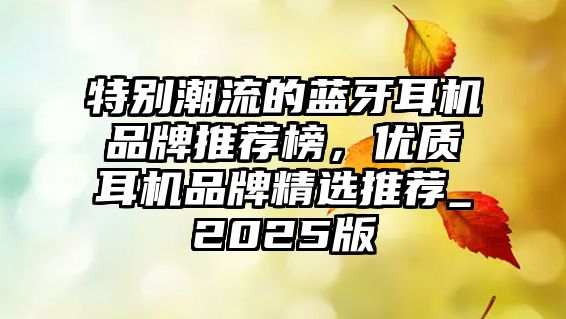 特別潮流的藍(lán)牙耳機(jī)品牌推薦榜，優(yōu)質(zhì)耳機(jī)品牌精選推薦_2025版