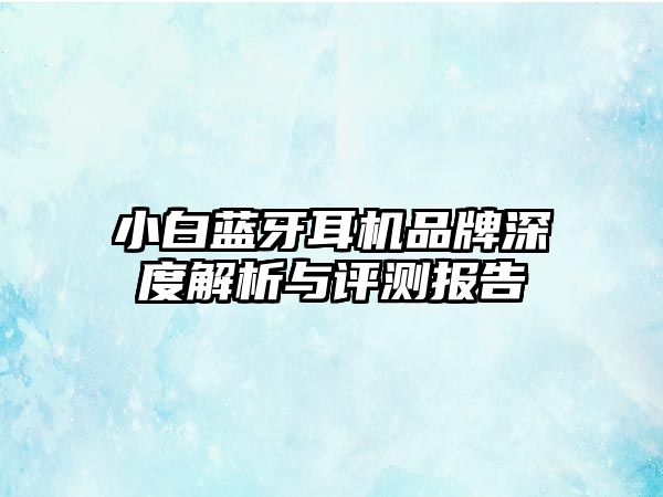小白藍(lán)牙耳機品牌深度解析與評測報告