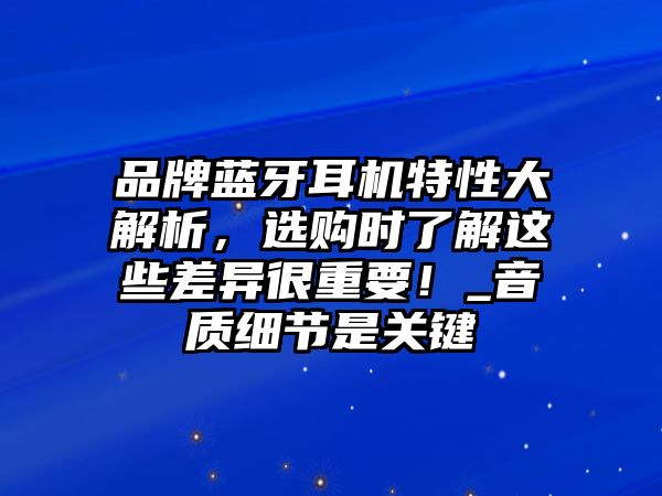 品牌藍(lán)牙耳機(jī)特性大解析，選購(gòu)時(shí)了解這些差異很重要！_音質(zhì)細(xì)節(jié)是關(guān)鍵