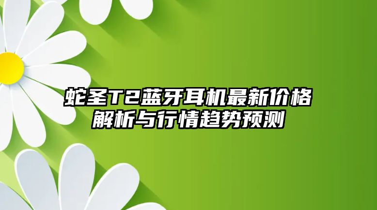 蛇圣T2藍(lán)牙耳機最新價格解析與行情趨勢預(yù)測